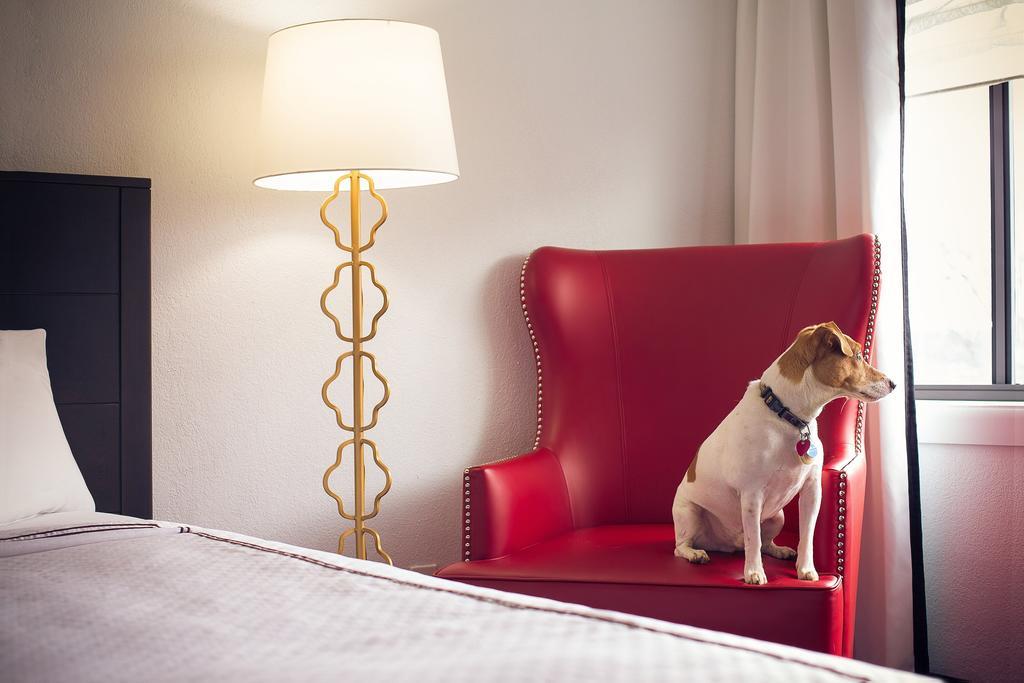 Capitol Hill Hotel Washington Kültér fotó